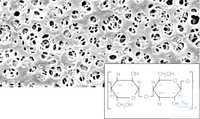 18407--25 ------      (RC) N Sartorius 25  |  ( ) ... 18407--25------N