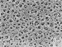 12303--47 ------      (CA) N Sartorius 1,2  | 47   ( ) | ... 12303--47------N