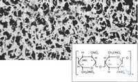 11301--13 ------      (CN) N Sartorius 8  | 13   ( ) | ... 11301--13------N