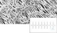 11803--47 ------ N Sartorius     (PTFE) 1,2  | 47   ( ) ... 11803--47------N