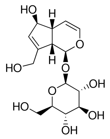 Aucubin 