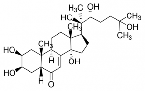 Beta-Ecdysterone Y0002054