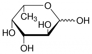 L-Fucose 1286606-200MG