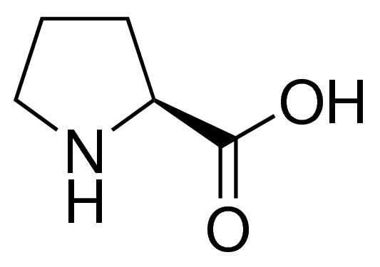 L-Proline 1568506-200MG