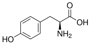 L-Tyrosine 1705006-500MG