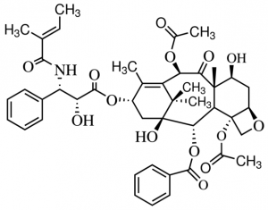 Paclitaxel Related Compound A 1491343-20MG