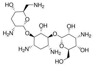 Tobramycin 1667508-350MG