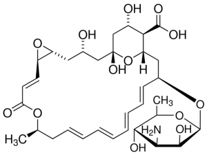 Pimaricin preparation 