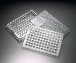 MultiScreen Migration Invasion and Chemotaxis Filter Plate, 96 well MAMIC3S10