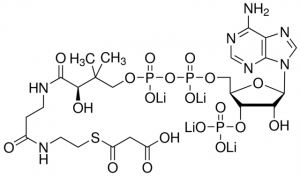 Malonyl coenzyme A tetralithium salt 