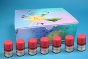 Homogeneous Palladium Catalysts Kit I 659975-1KT