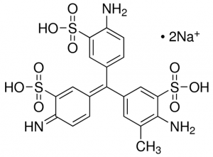 Acid Fuchsin 