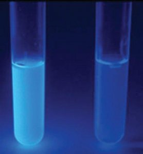 ColiComplete 