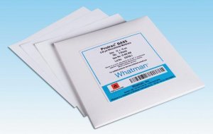 Whatman nitrocellulose membrane filters WHA10401114