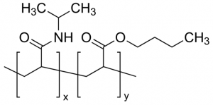 Poly(N-isopropylacrylamide-co-butylacrylate) 762881-5G
