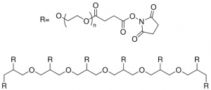 8arm-PEG20K-Succinimidyl Succinate JKA8020-1G