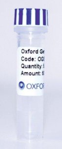 PSF-CMV-NH2-CMYC-EKT-NCOI - N-TERMINAL C-MYC PLASMID OGS94-5UG
